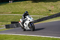 Lower Group White Bikes